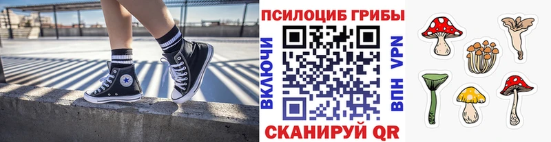 hydra ССЫЛКА  даркнет состав  Псилоцибиновые грибы GOLDEN TEACHER  как найти наркотики  Валуйки 
